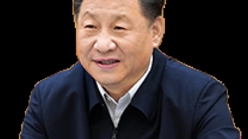 阻燃级工程塑料：价格与厂家选择的关键考量
