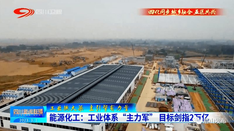 揭秘有机化工原料：十大品牌背后的故事**